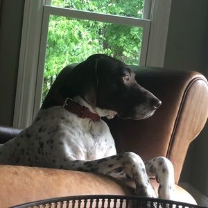 Meet your Posher, Patrick